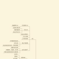 139591_PO 头像