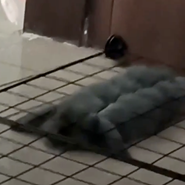 @ImmediateMurderProfessionals