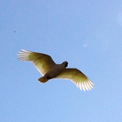 @jg10-mastodon-social