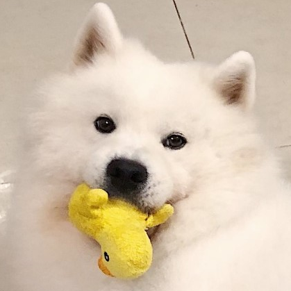 @XinxinWu544