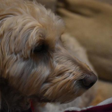 @isaacgravenortechnologies