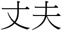 丈夫 (宋體矢量字庫)