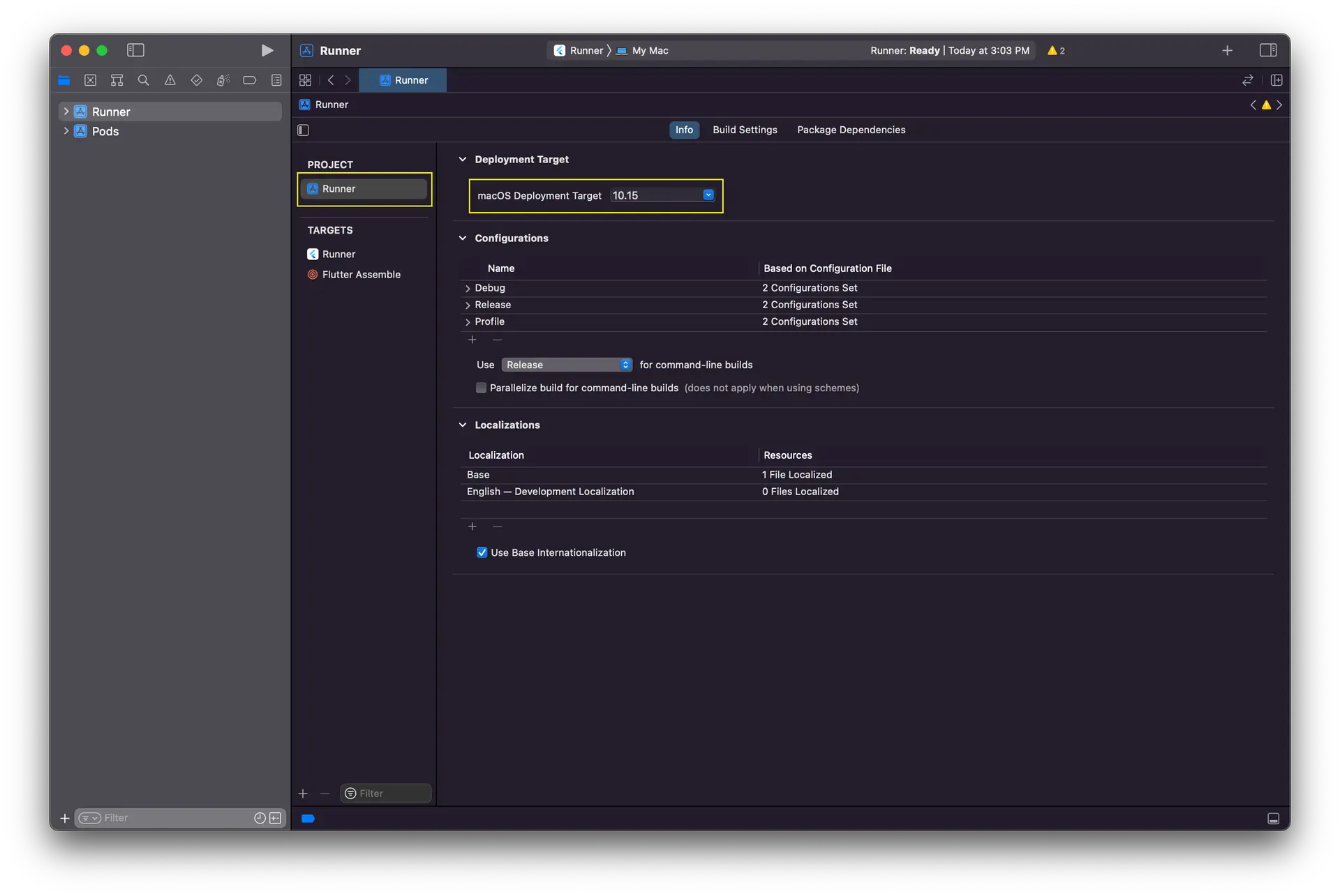 Setting the macOS version to 10.15 or higher in the macOS Deployment Target tab of the Runner info section.