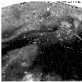 [METEOSAT 11.08.99:02:30 UT - Water Vapour]