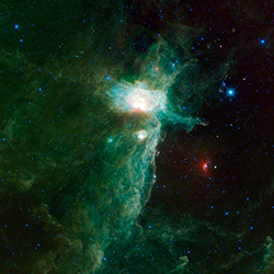 The Flame Nebula