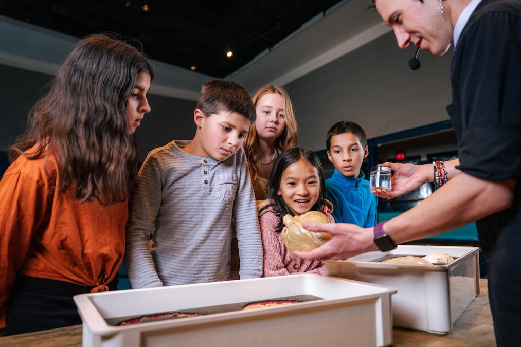 sheep heart dissection franklin institute