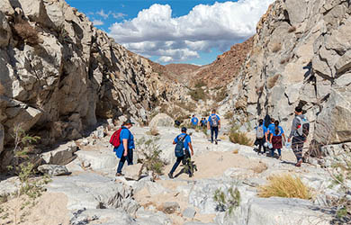 UC San Diego students hiking in a canyon on an alternative break trip