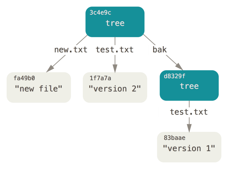 The content structure of your current Git data.