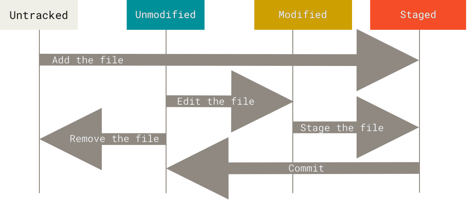 The lifecycle of the status of your files