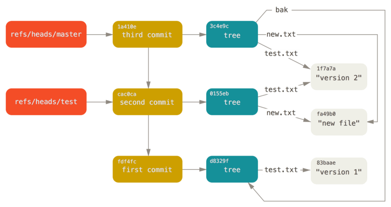 Git directory objects with branch head references included.