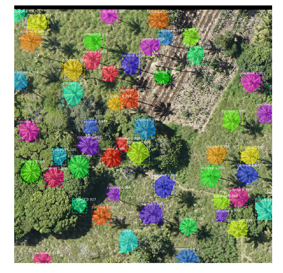 Demo on test images for Coconut trees segmentation