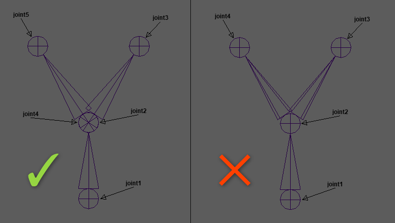 branching_skeleton