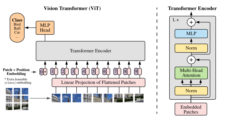 fig1