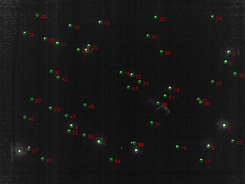 Detected centroids in Figure \ref{fig:image-example}.\label{fig:example-result}