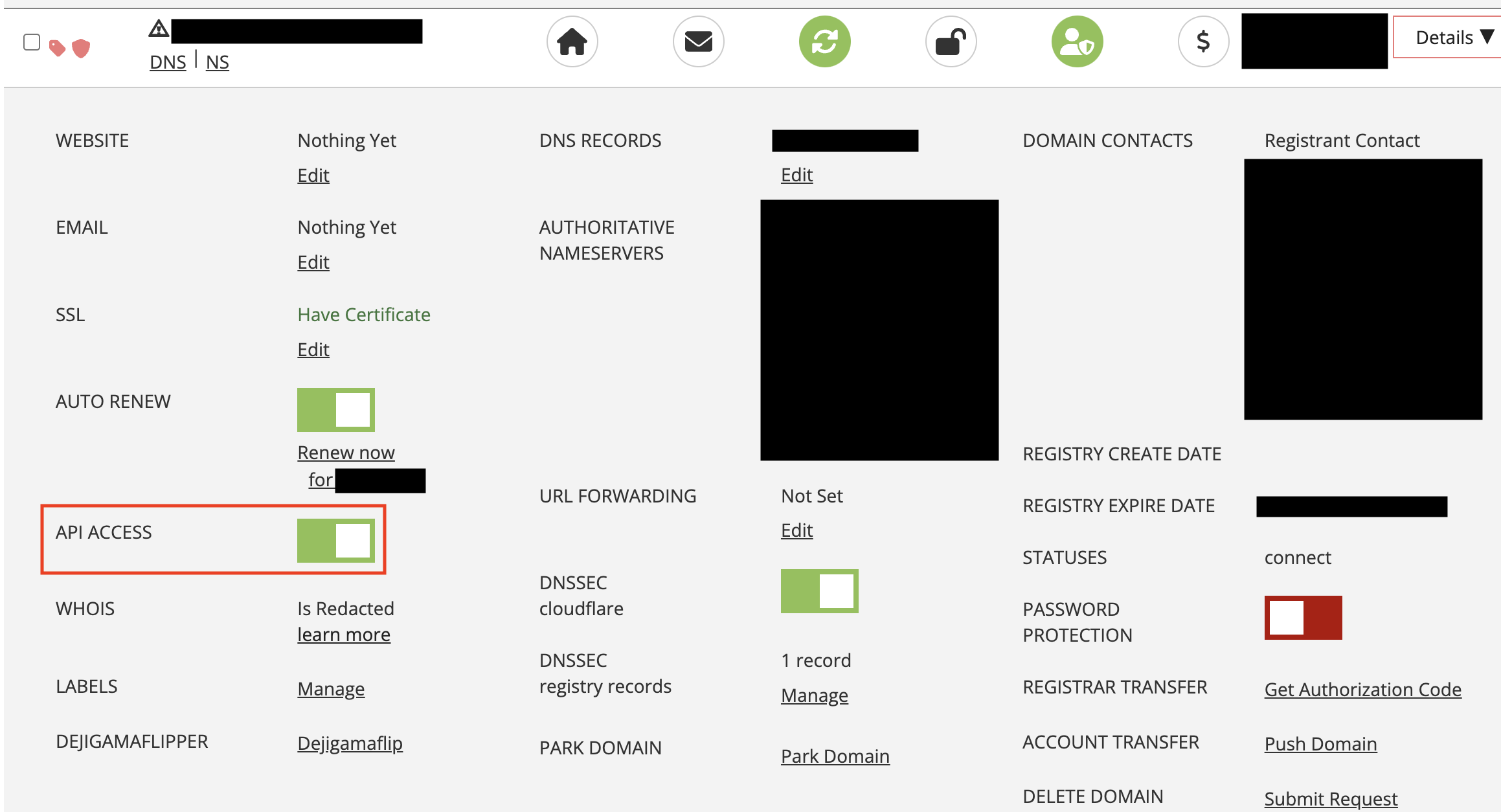 API Access Enabled