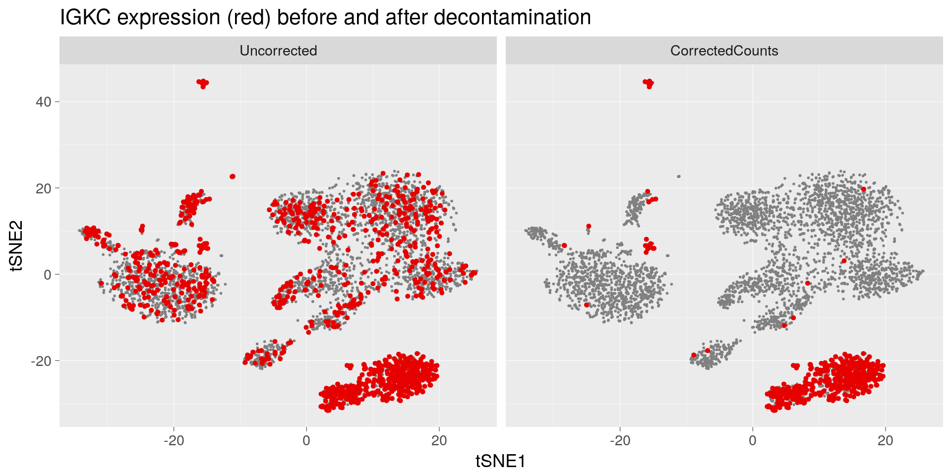 IGKC expressing cells in red