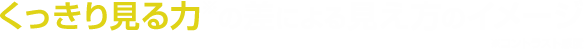 くっきり見る力※の差による見え方のイメージ※コントラスト感度