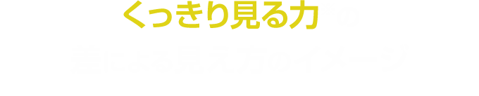 くっきり見る力※の差による見え方のイメージ※コントラスト感度