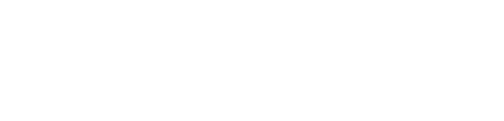 Office of Governor Tim Walz and Lt. Governor Peggy Flanagan logo