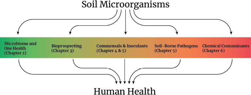 Discussions of specific microorganisms or microbial processes that relate to human health in other chapters of the report