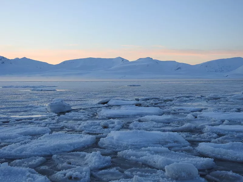 Sea ice in a Svalbard fjord