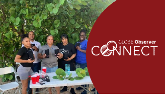 Four women and a man stand at a table in front of a tree on a beach. They hold mosquito traps that they have made out of 2 liter bottles. Overlaid text reads GLOBE Observer Connect.