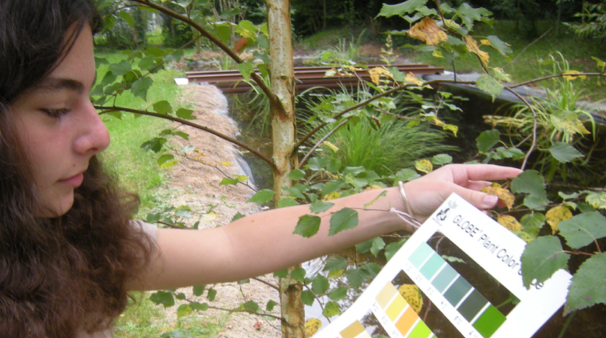 A young woman holds up a GLOBE Plant Color Guide next to the leaves of a tree to determine their color.