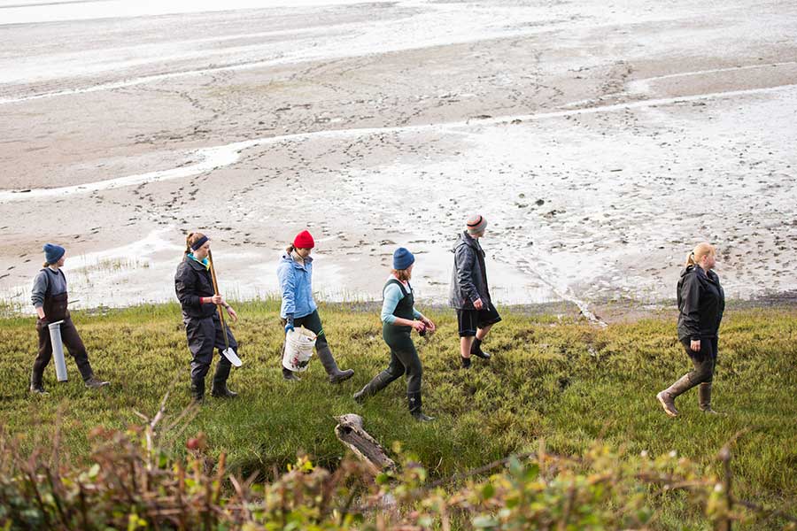 people walking with buckets near sandy stretch of beach