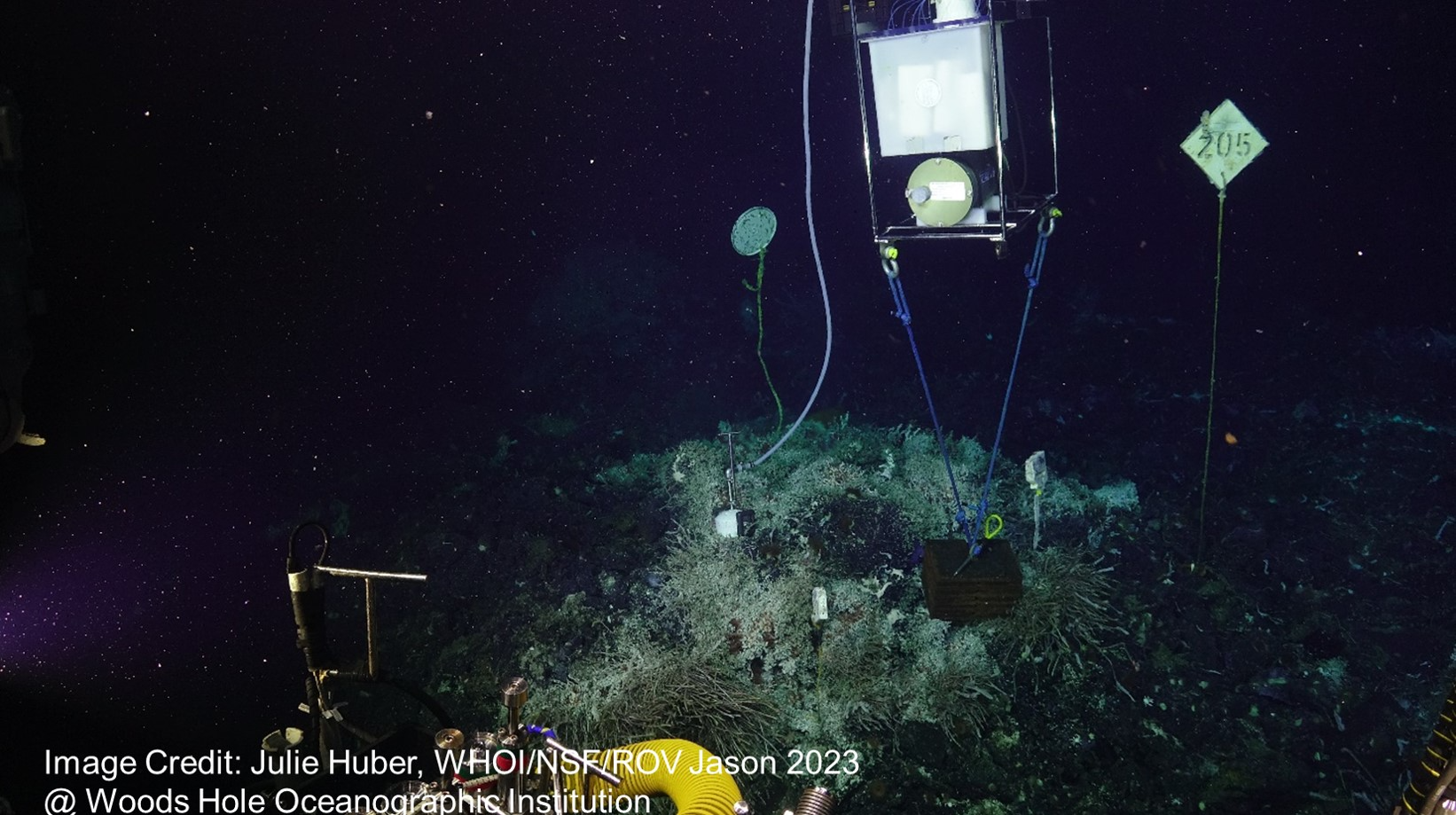 Analyzing Biosignatures in Terrestrial Hydrothermal Systems