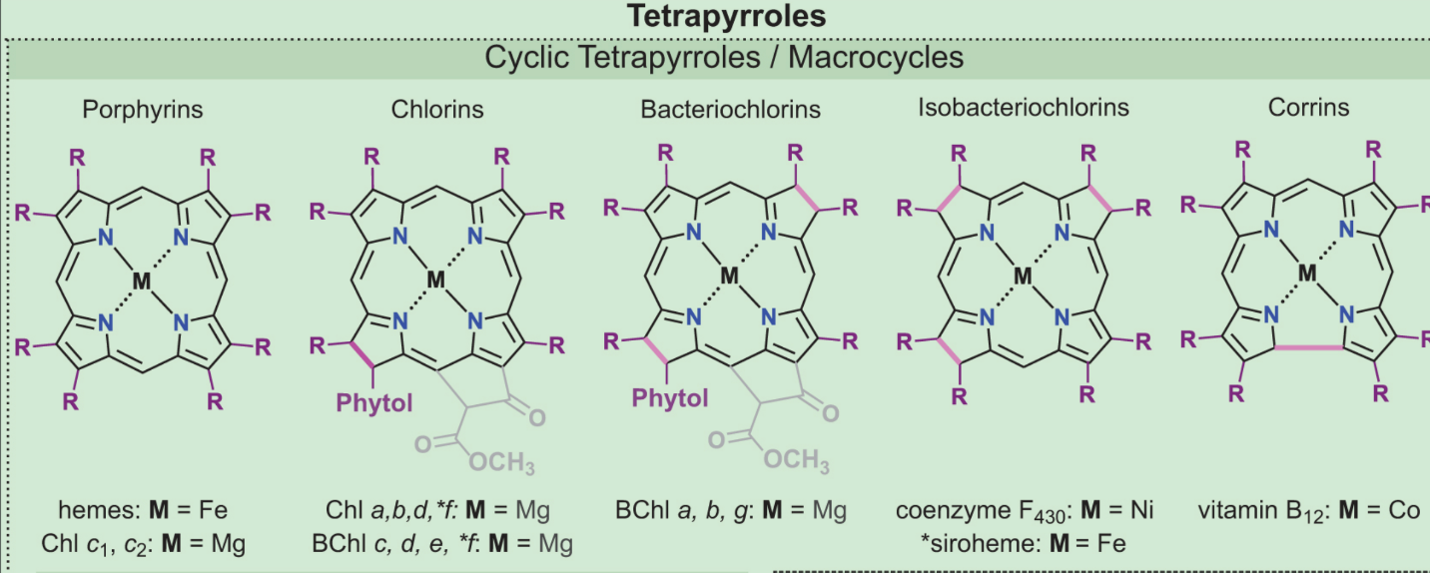 Pigments as a Biosignature