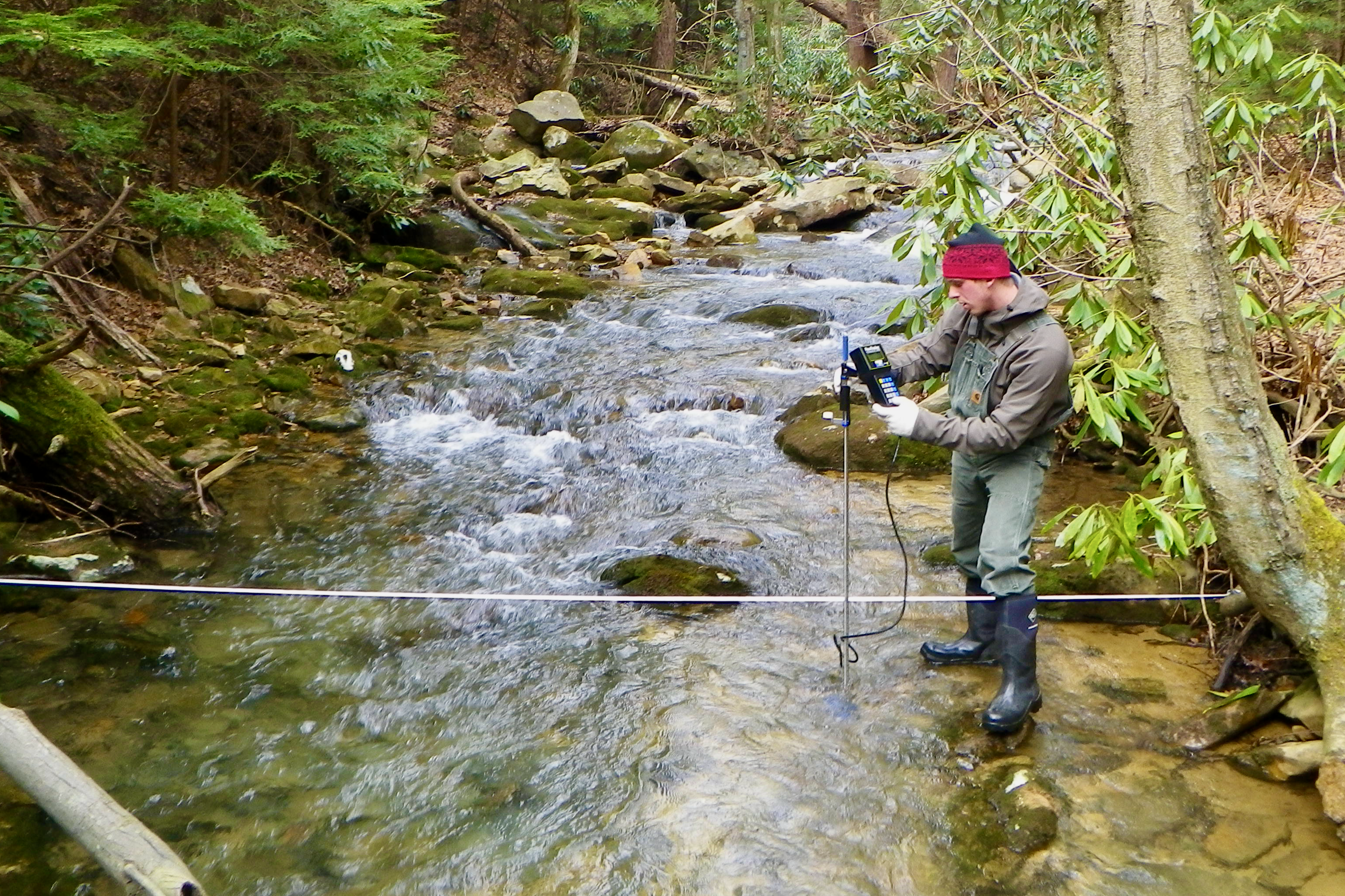 A member of the WVU Mountain Hydrology Lab research group assessing streamflow of the Little Laurel Run within the WVU Research Forest.