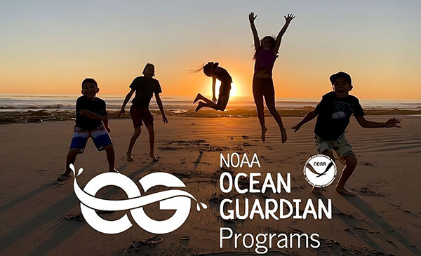 ocean guardian programs