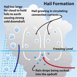 Diagram of hail stones forming in a cumulonimbus cloud.