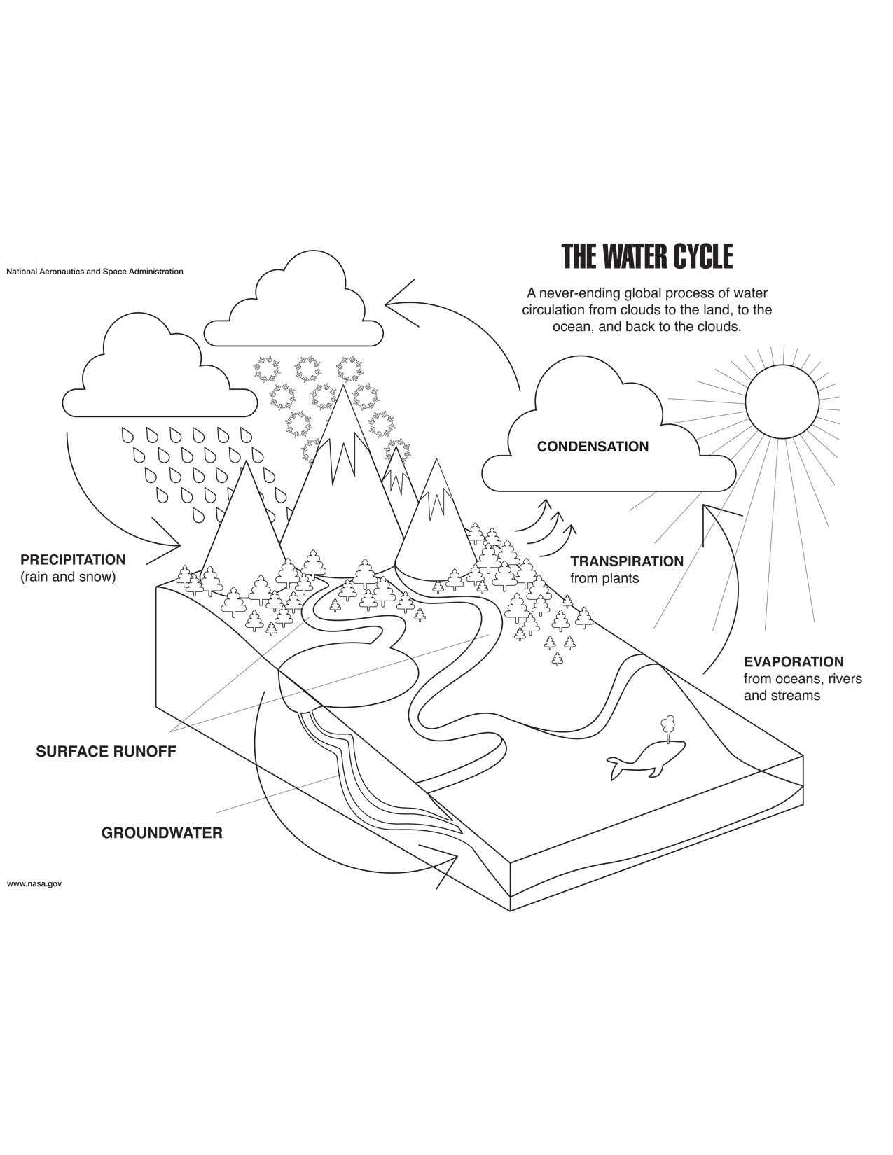 Coloring page for the water cycle.