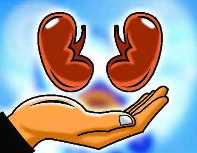 Dialysis patients unwind with games at Bengaluru’s Kanteerava Stadium