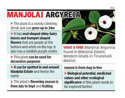 Researchers discoverplantspecies at Manjolai Estate