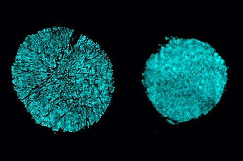 left image shows the cracking of a particle in one electrode of a battery cell that used a conventio