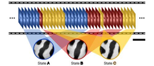 Algorithm schematic