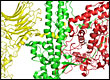 botulism molecular diagram