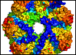 proteasome with its gate opened