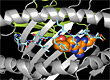 HIV/AIDS drug abacavir