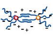 DNA-functionalized nanoparticles