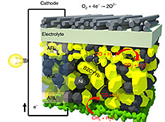 catalyst schematic