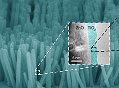 A structural model of the amorphous titania shel