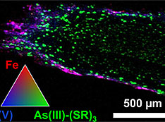 microscale x-ray fluorescence imaging