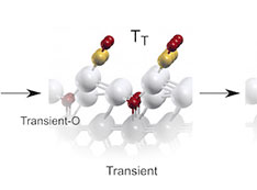 stages of simultaneous ignition of catalytic CO oxidation