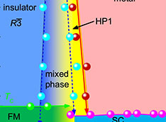 Temperature-pressure (T - P) phase diagram