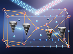 topological singularities