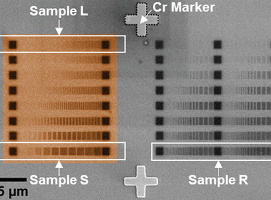 Scanning electron microscopy images