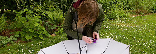 A person knelt down outdoors on grass. They are photographing objects on a white umbrella which is upside down